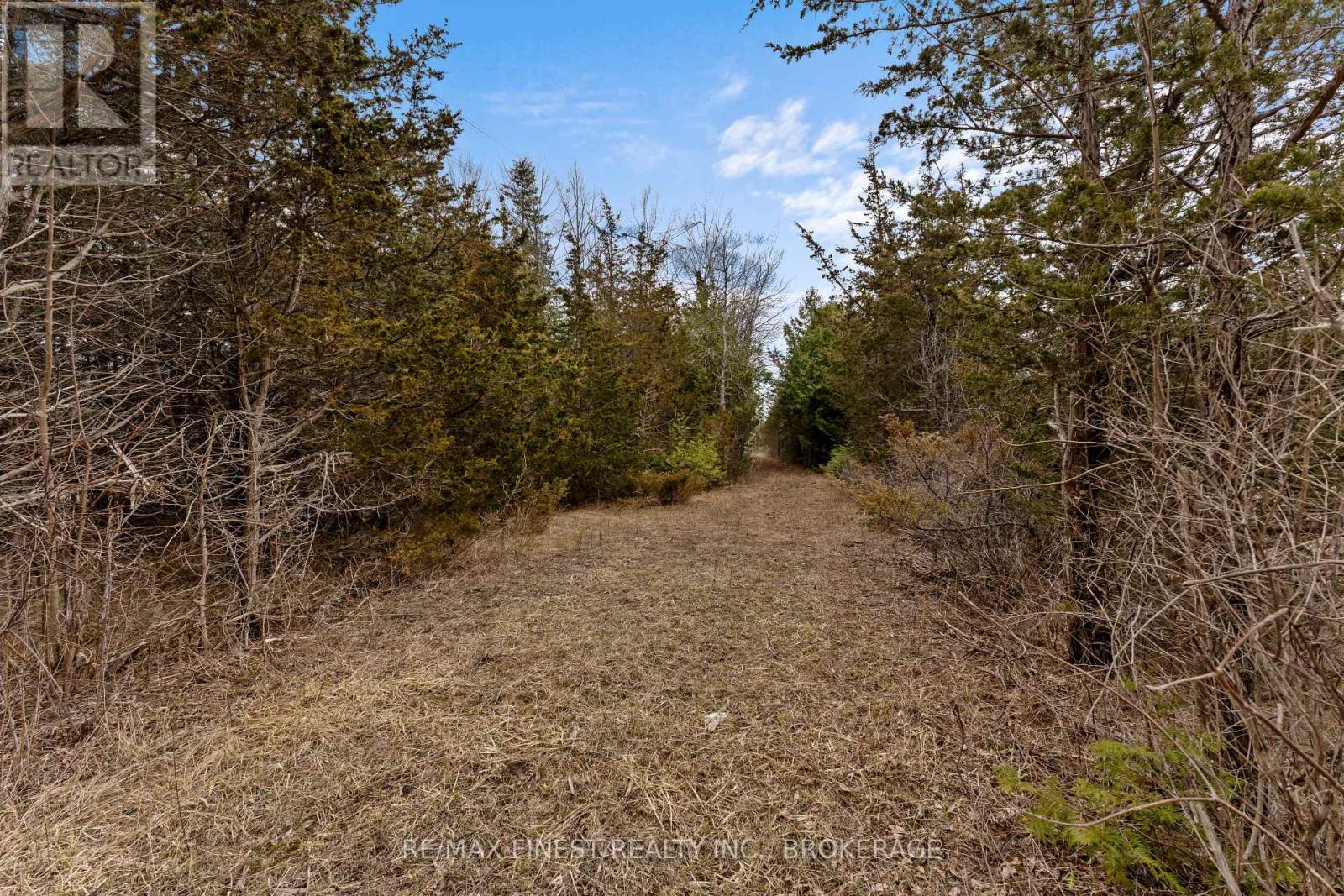 210 Beechwood Road, Greater Napanee, Ontario  K7R 3L1 - Photo 4 - X12086405