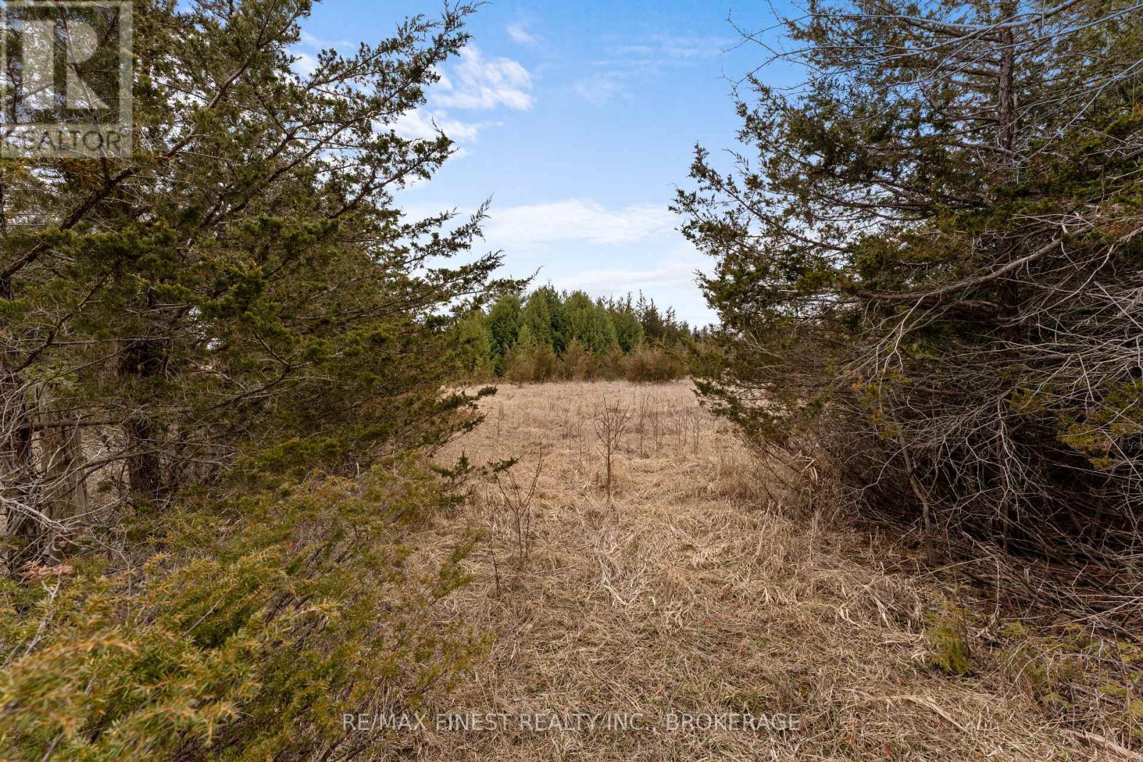 210 Beechwood Road, Greater Napanee, Ontario  K7R 3L1 - Photo 5 - X12086405
