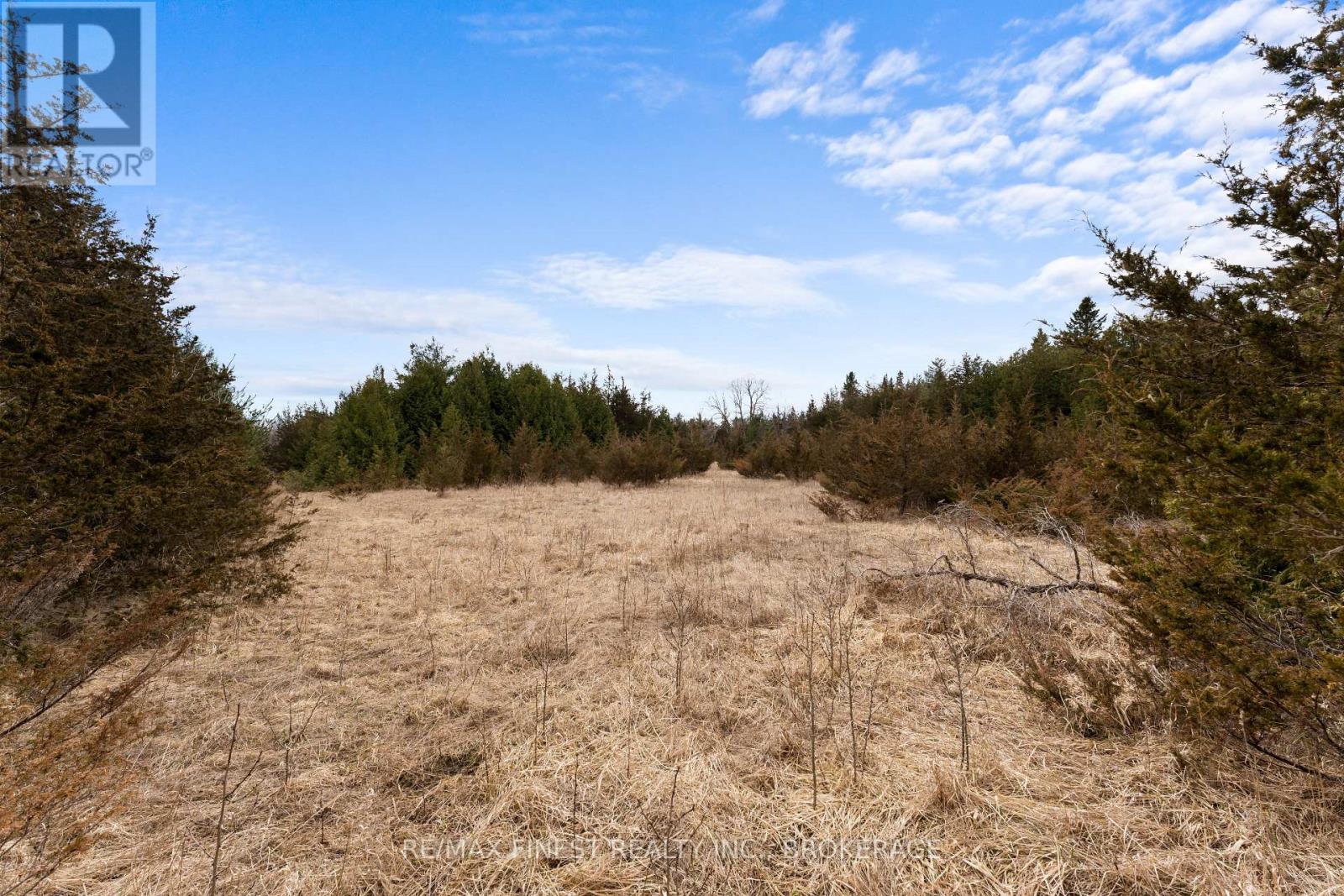 210 Beechwood Road, Greater Napanee, Ontario  K7R 3L1 - Photo 6 - X12086405