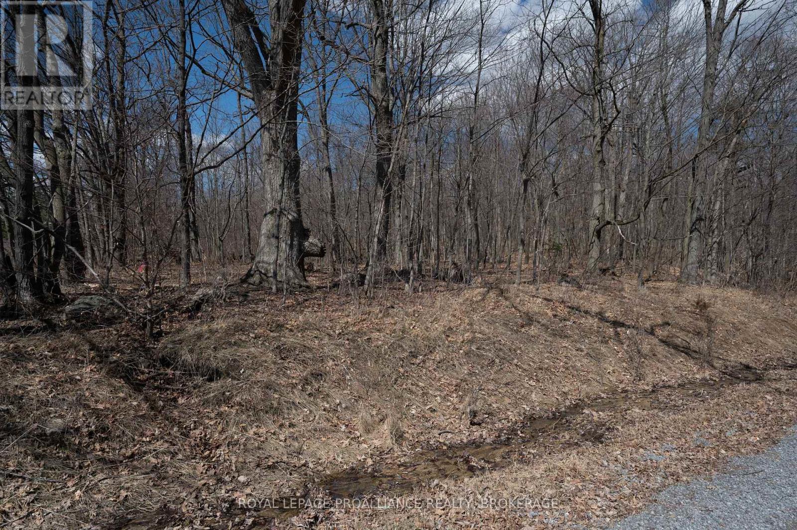 Lot 3 Baseline Road, Frontenac Islands, Ontario  K7G 2V6 - Photo 14 - X12095209