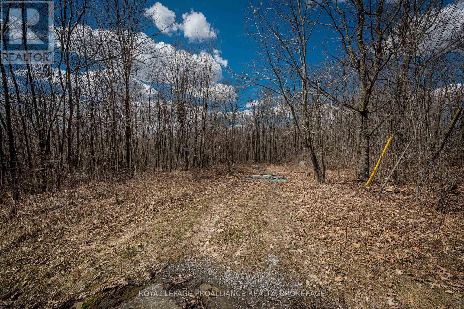 Lot 3 Baseline Road, Frontenac Islands, Ontario  K7G 2V6 - Photo 16 - X12095209
