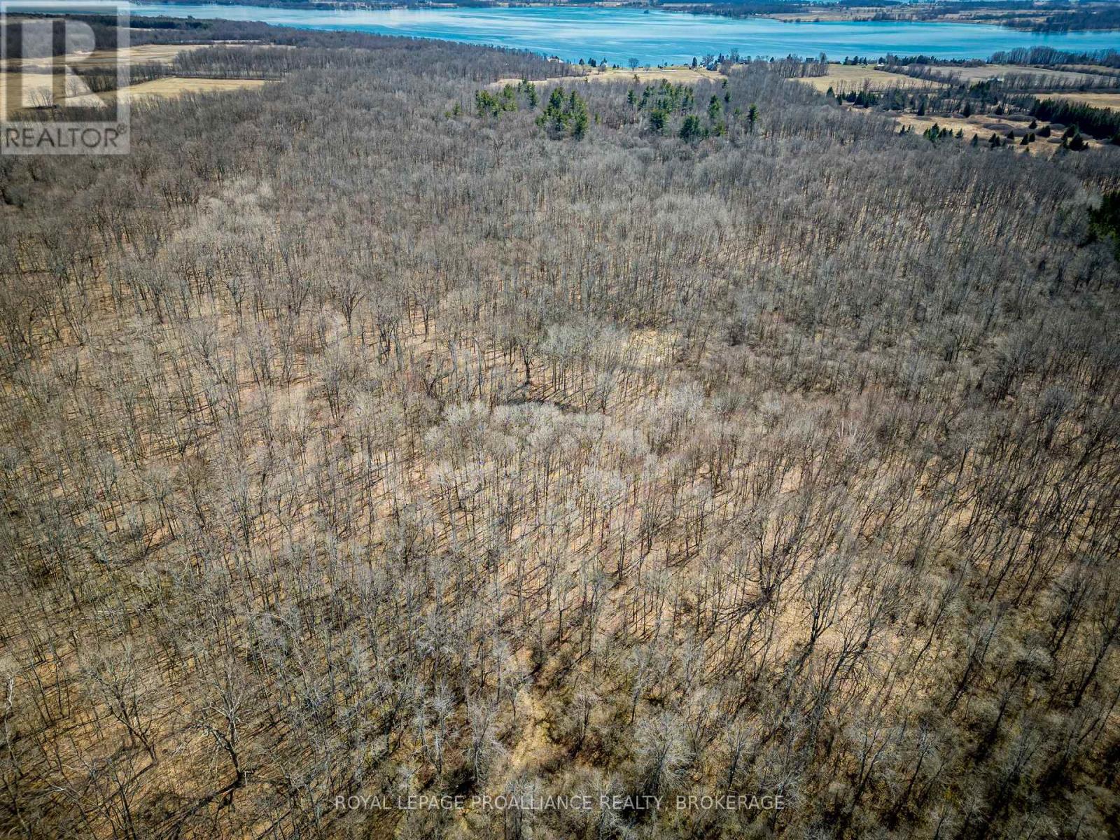 Lot 3 Baseline Road, Frontenac Islands, Ontario  K7G 2V6 - Photo 6 - X12095209