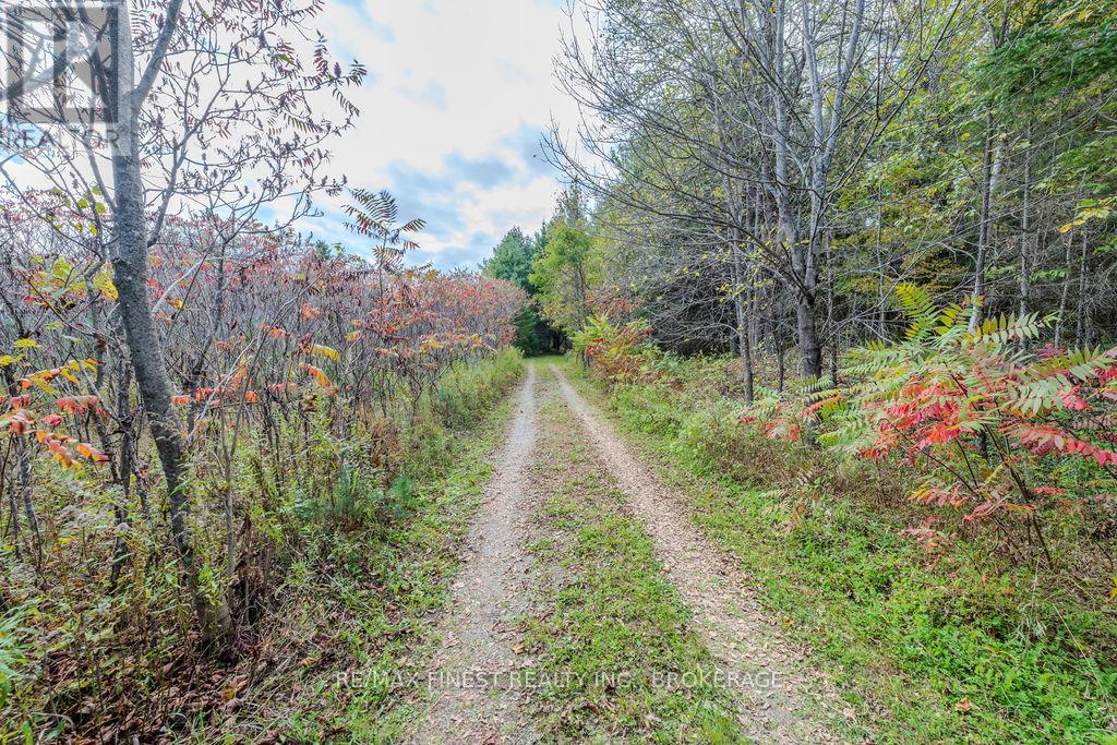 1203 Farm Gate Lane, Frontenac, Ontario  K0H 2C0 - Photo 4 - X12098468