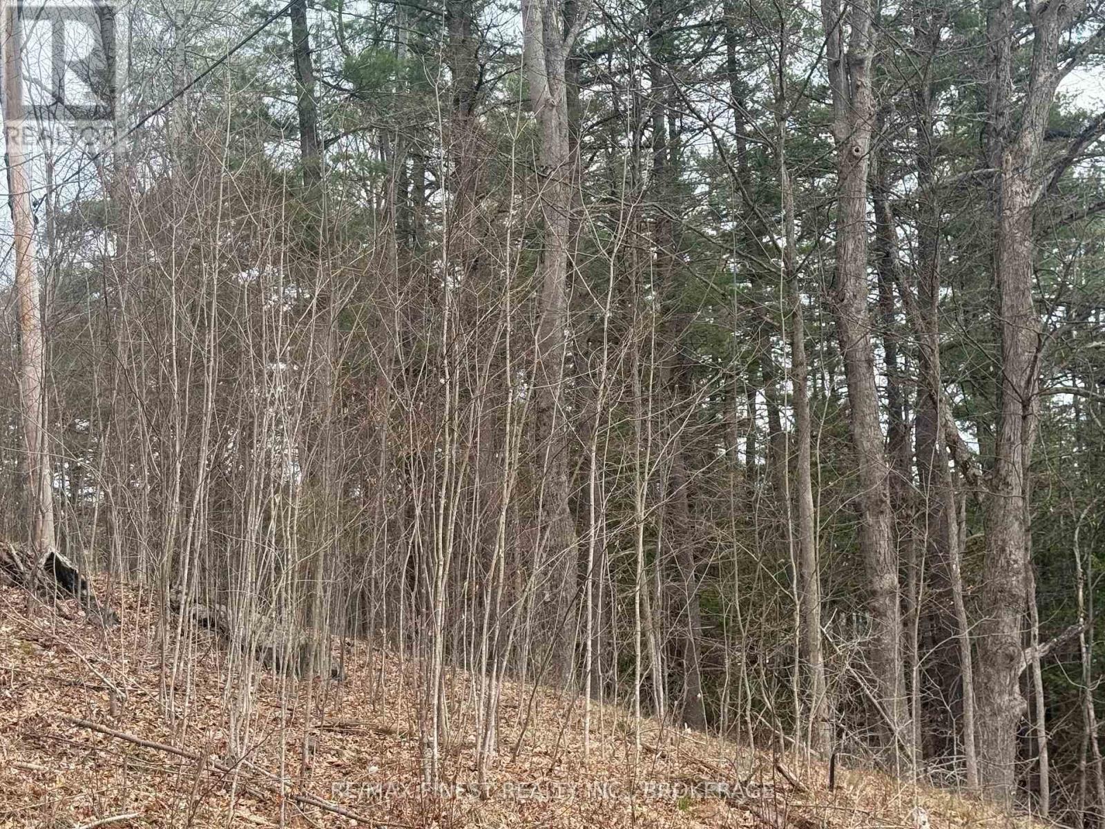9 Underside Lane, Frontenac, Ontario  K0H 1T0 - Photo 24 - X12106137