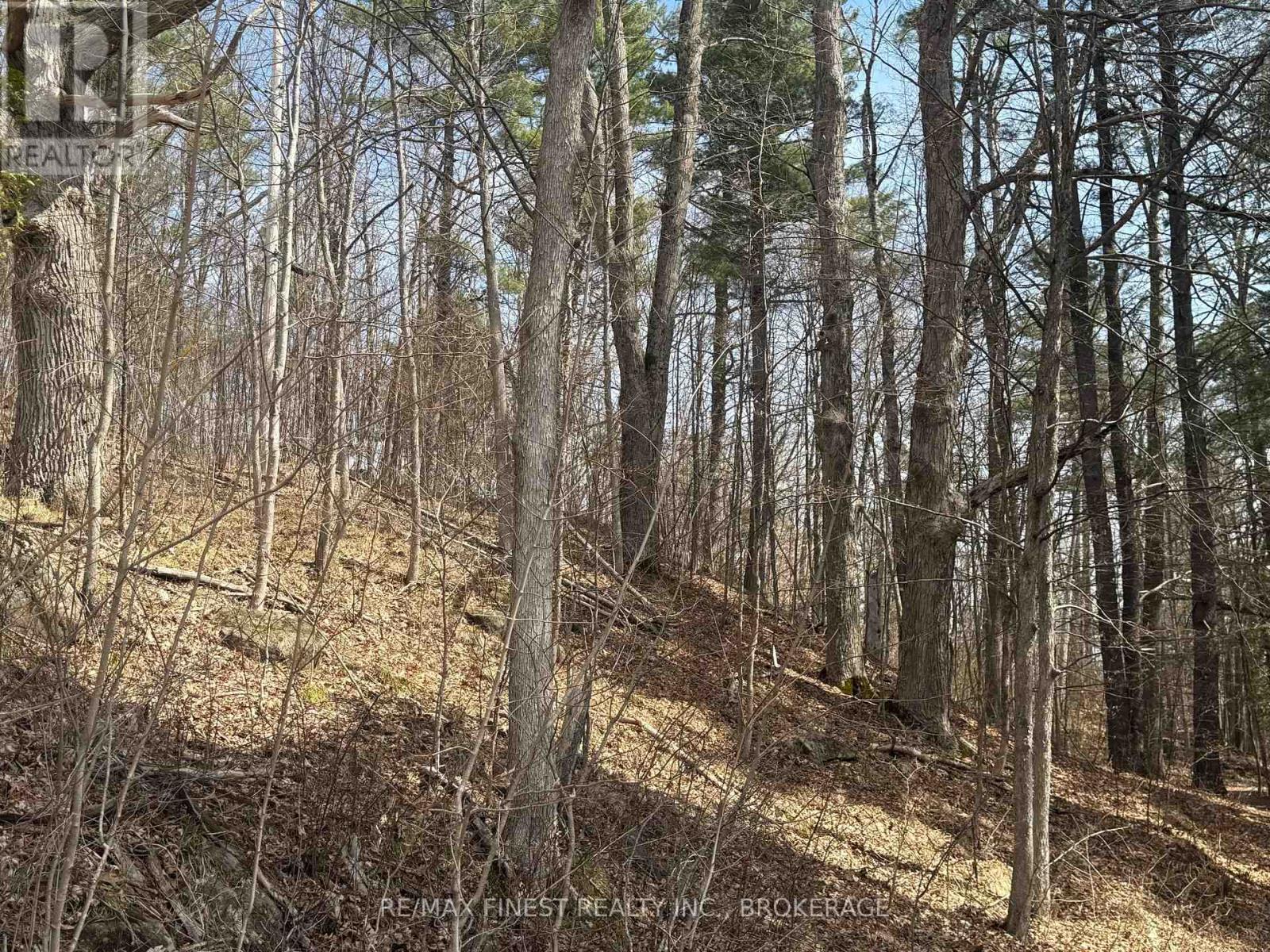 9 Underside Lane, Frontenac, Ontario  K0H 1T0 - Photo 25 - X12106137