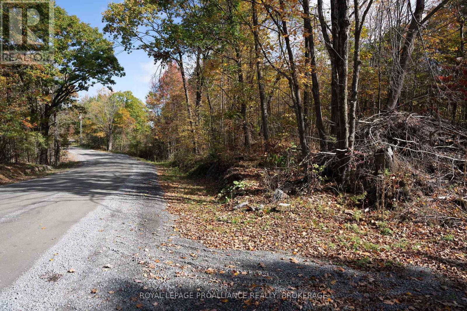 Pt Lts 12 & 13 Devil Lake Road, South Frontenac, Ontario  K0G 1X0 - Photo 10 - X12114804