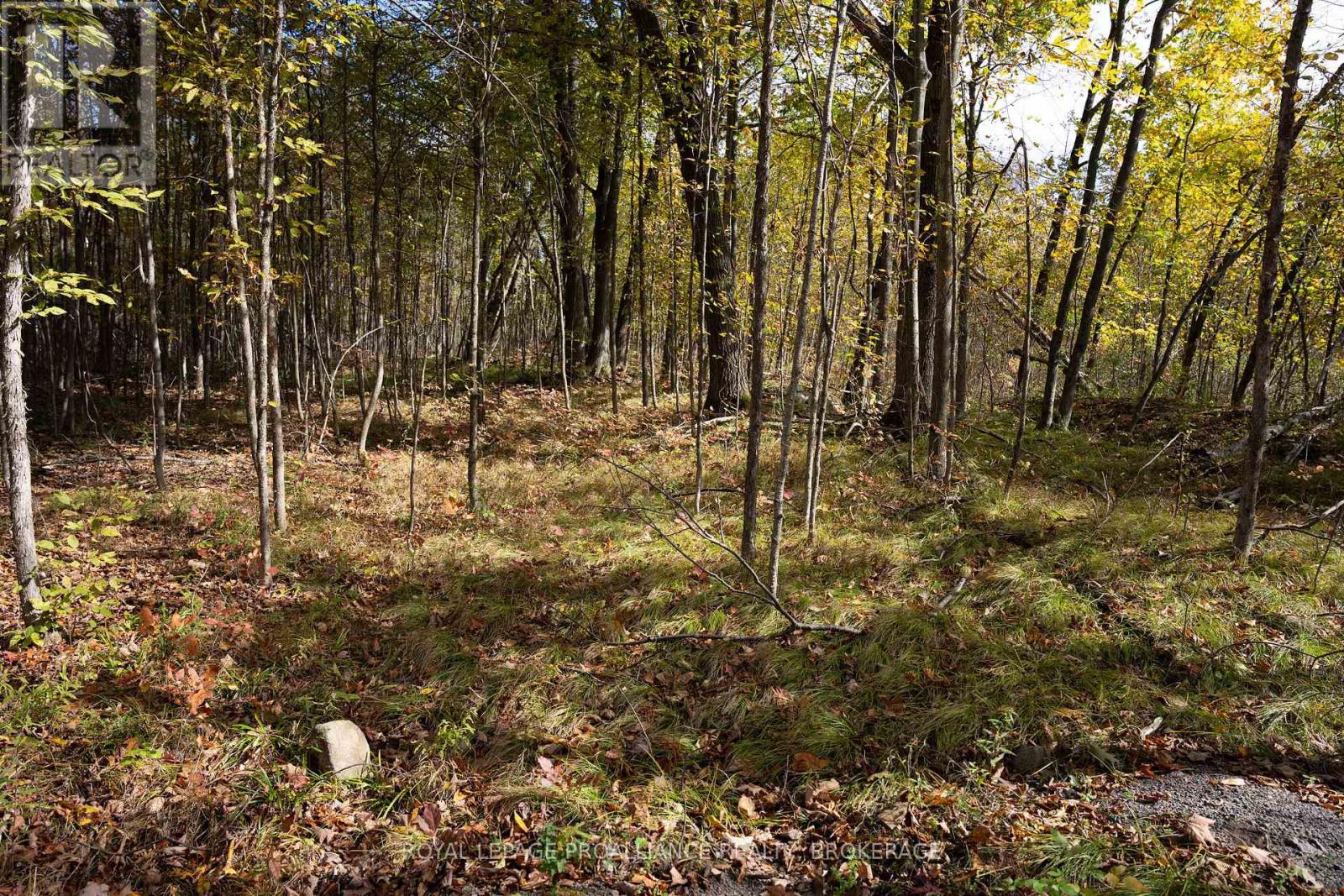 Pt Lts 12 & 13 Devil Lake Road, South Frontenac, Ontario  K0G 1X0 - Photo 11 - X12114804