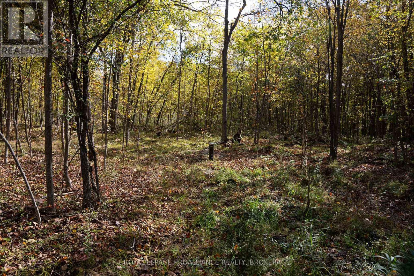 Pt Lts 12 & 13 Devil Lake Road, South Frontenac, Ontario  K0G 1X0 - Photo 12 - X12114804