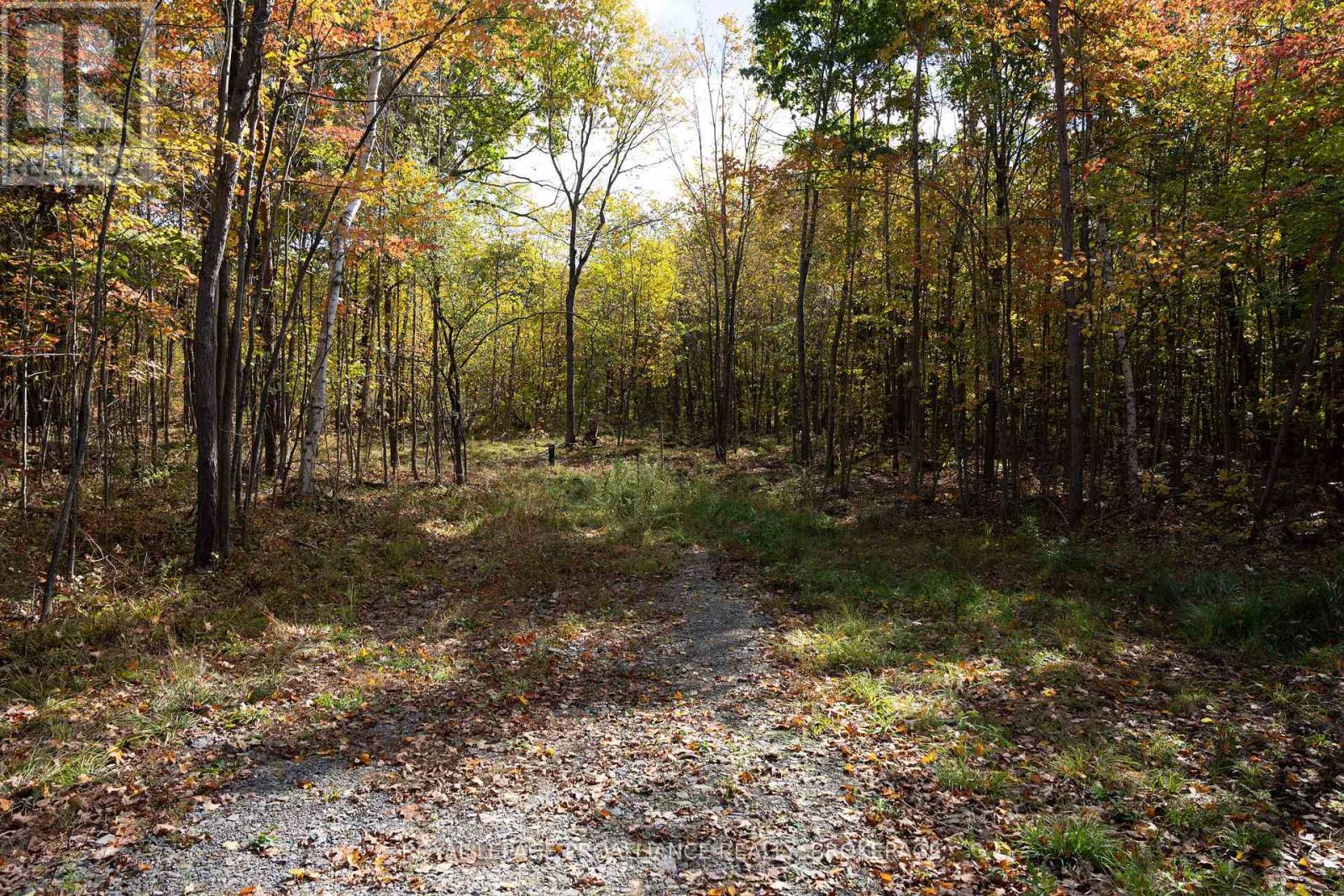 Pt Lts 12 & 13 Devil Lake Road, South Frontenac, Ontario  K0G 1X0 - Photo 13 - X12114804
