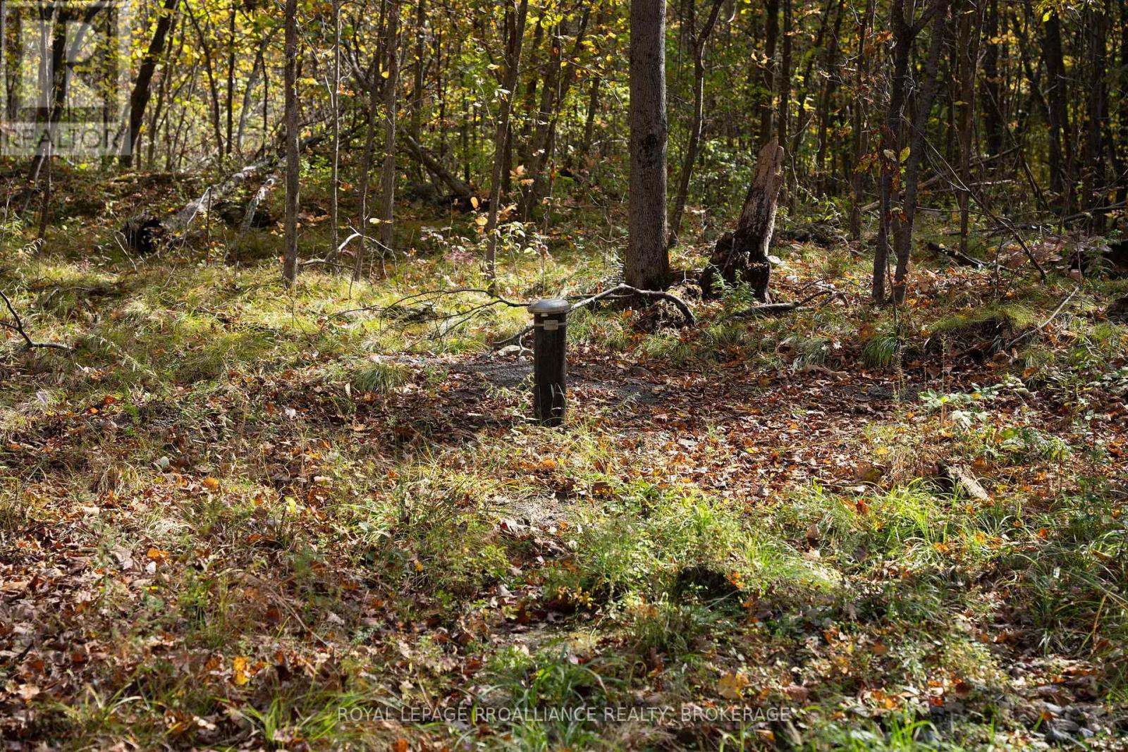 Pt Lts 12 & 13 Devil Lake Road, South Frontenac, Ontario  K0G 1X0 - Photo 15 - X12114804