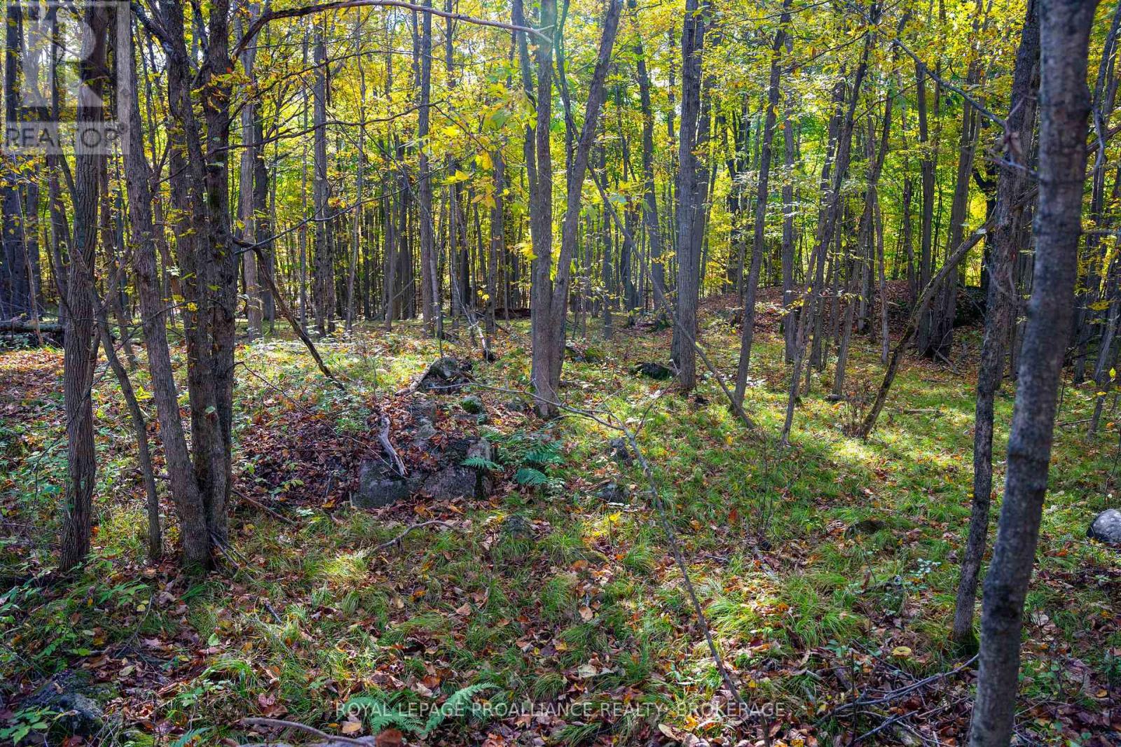 Pt Lts 12 & 13 Devil Lake Road, South Frontenac, Ontario  K0G 1X0 - Photo 16 - X12114804