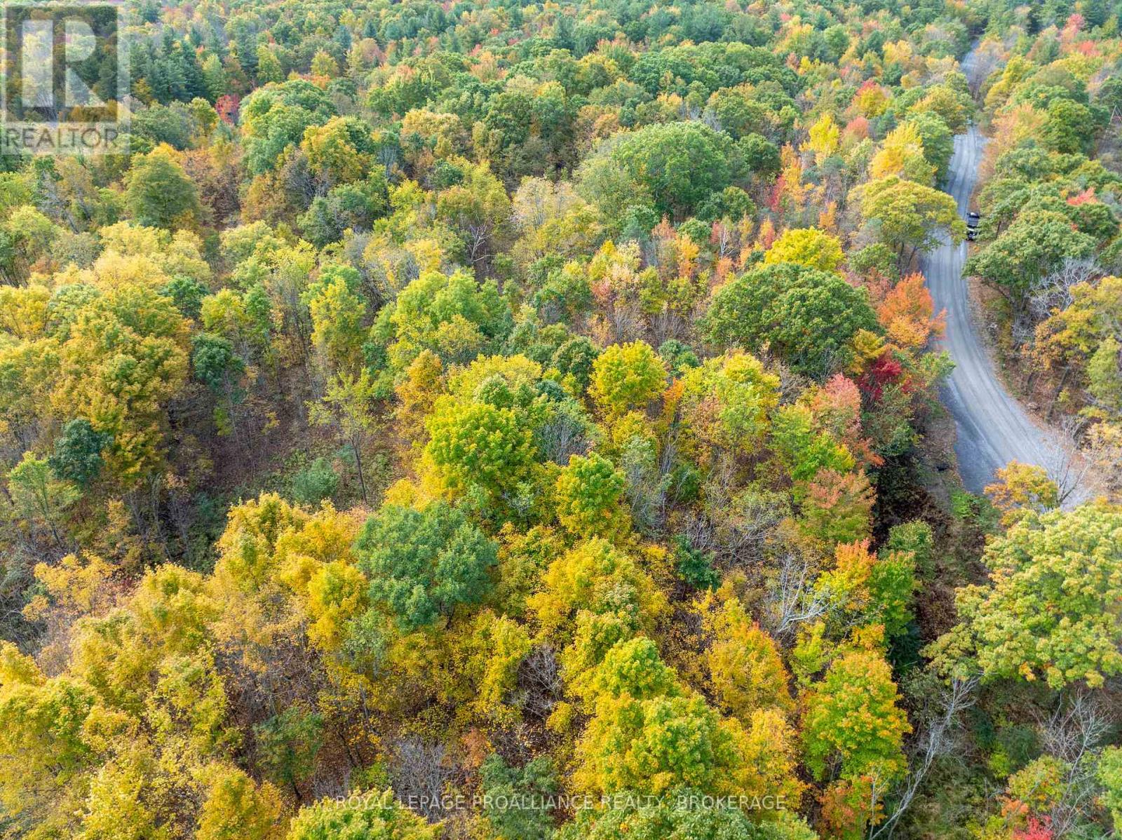 Pt Lts 12 & 13 Devil Lake Road, South Frontenac, Ontario  K0G 1X0 - Photo 19 - X12114804