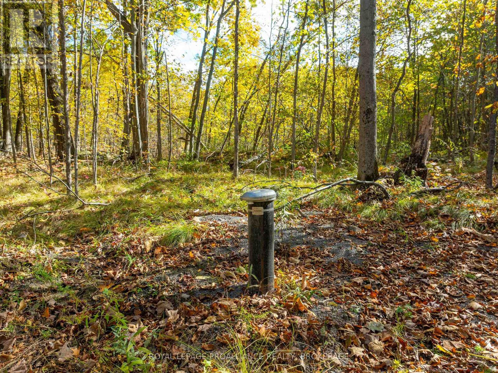 Pt Lts 12 & 13 Devil Lake Road, South Frontenac, Ontario  K0G 1X0 - Photo 8 - X12114804