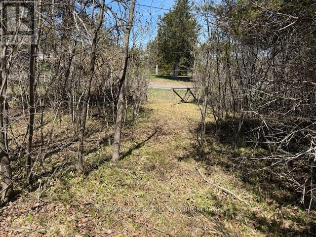 590 Love Road, Loyalist, Ontario  K0H 2H0 - Photo 3 - X12115789
