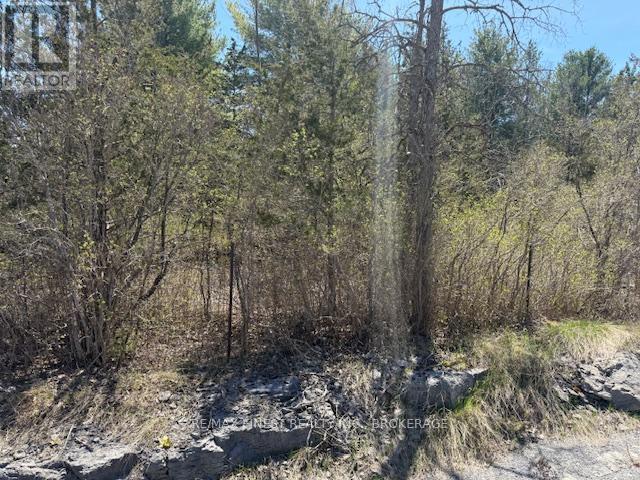 590 Love Road, Loyalist, Ontario  K0H 2H0 - Photo 7 - X12115789
