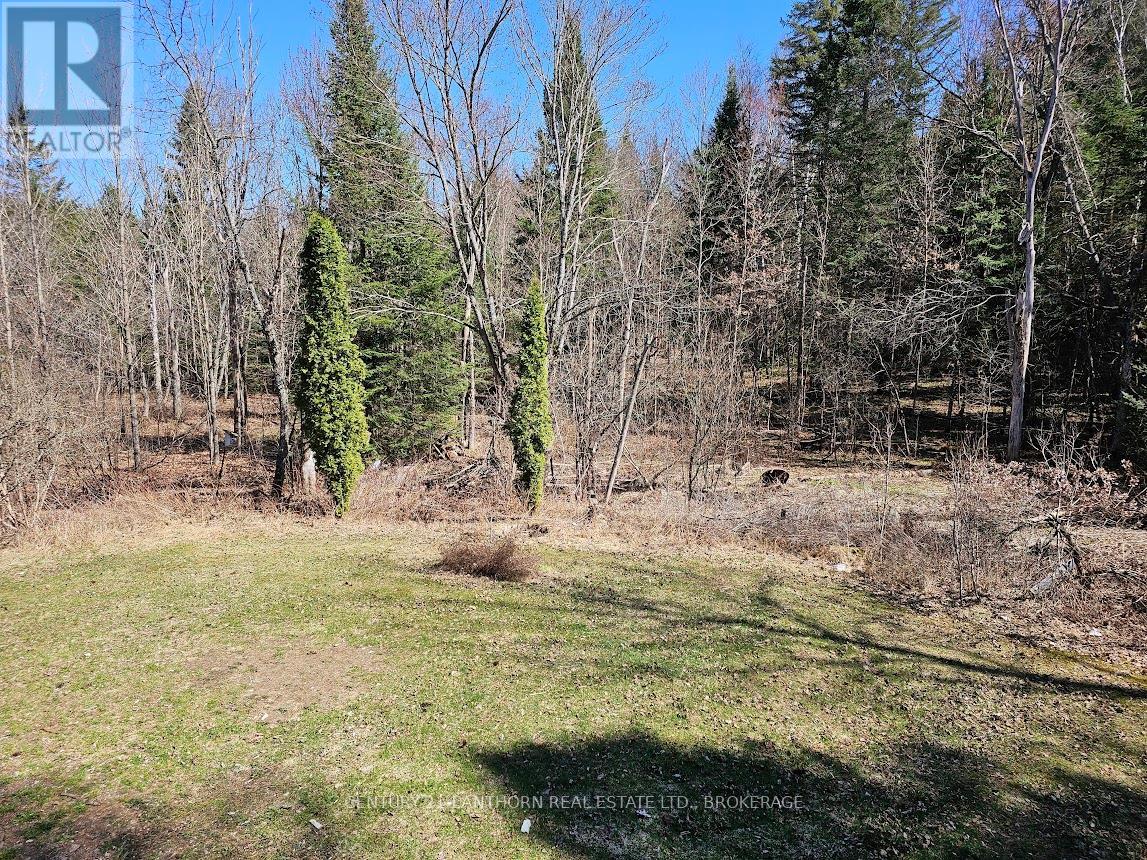 119 Addington Rd 7 Road, Addington Highlands, Ontario  K0H 1L0 - Photo 7 - X12116320