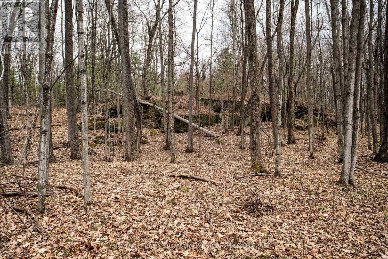 568 Lyndhurst Road, Leeds And The Thousand Islands, Ontario  K0E 1N0 - Photo 12 - X12120271
