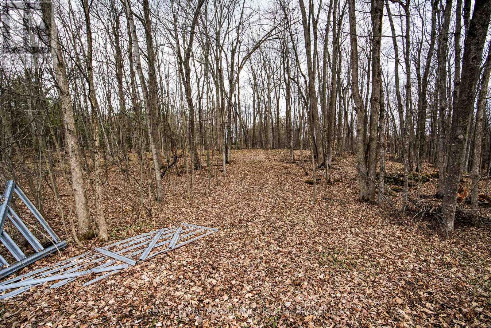 568 Lyndhurst Road, Leeds And The Thousand Islands, Ontario  K0E 1N0 - Photo 5 - X12120271