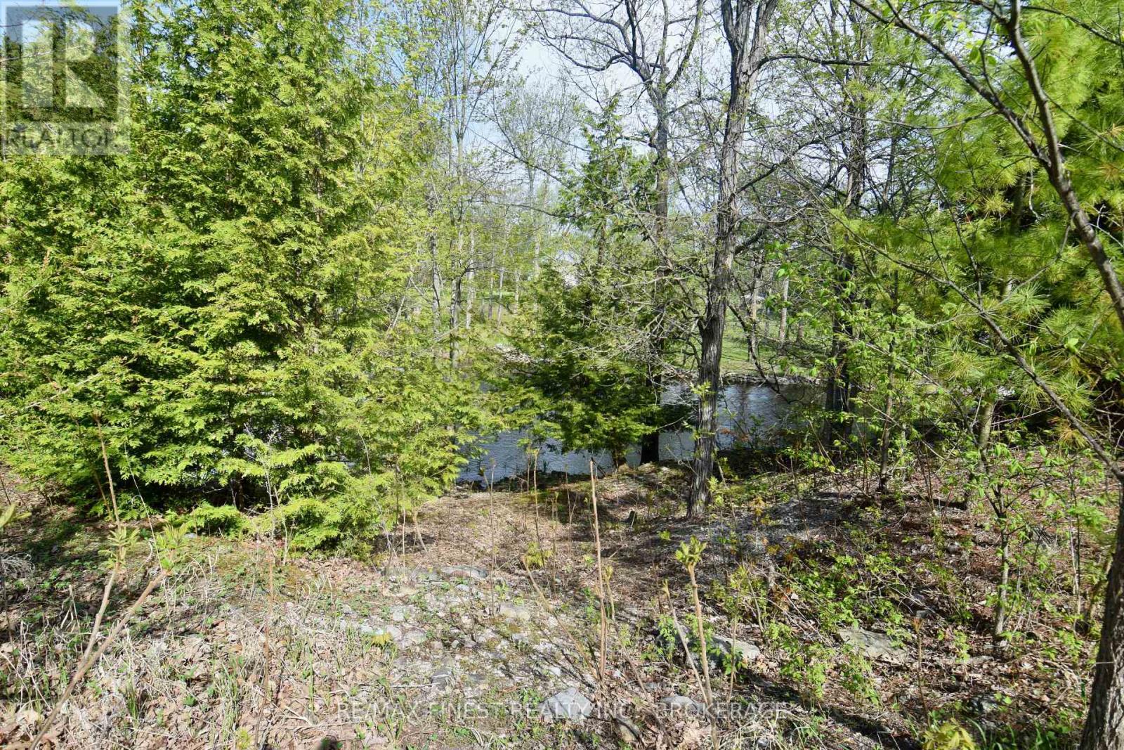 20 Ballantra Drive, Stone Mills, Ontario  K0K 3G0 - Photo 6 - X12131043