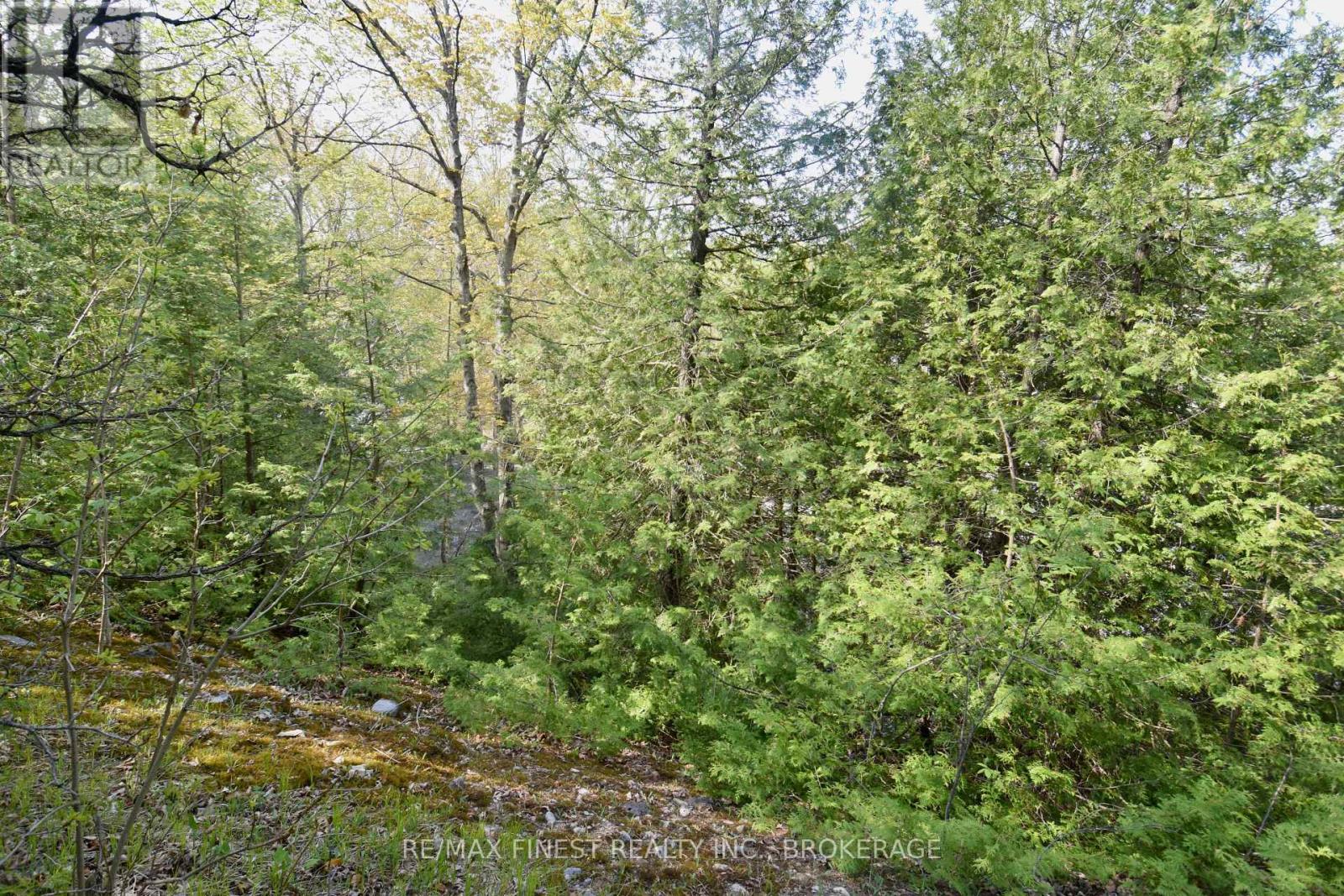 ~20 Ballantra Drive, Stone Mills, Ontario  K0K 3G0 - Photo 4 - X12131048