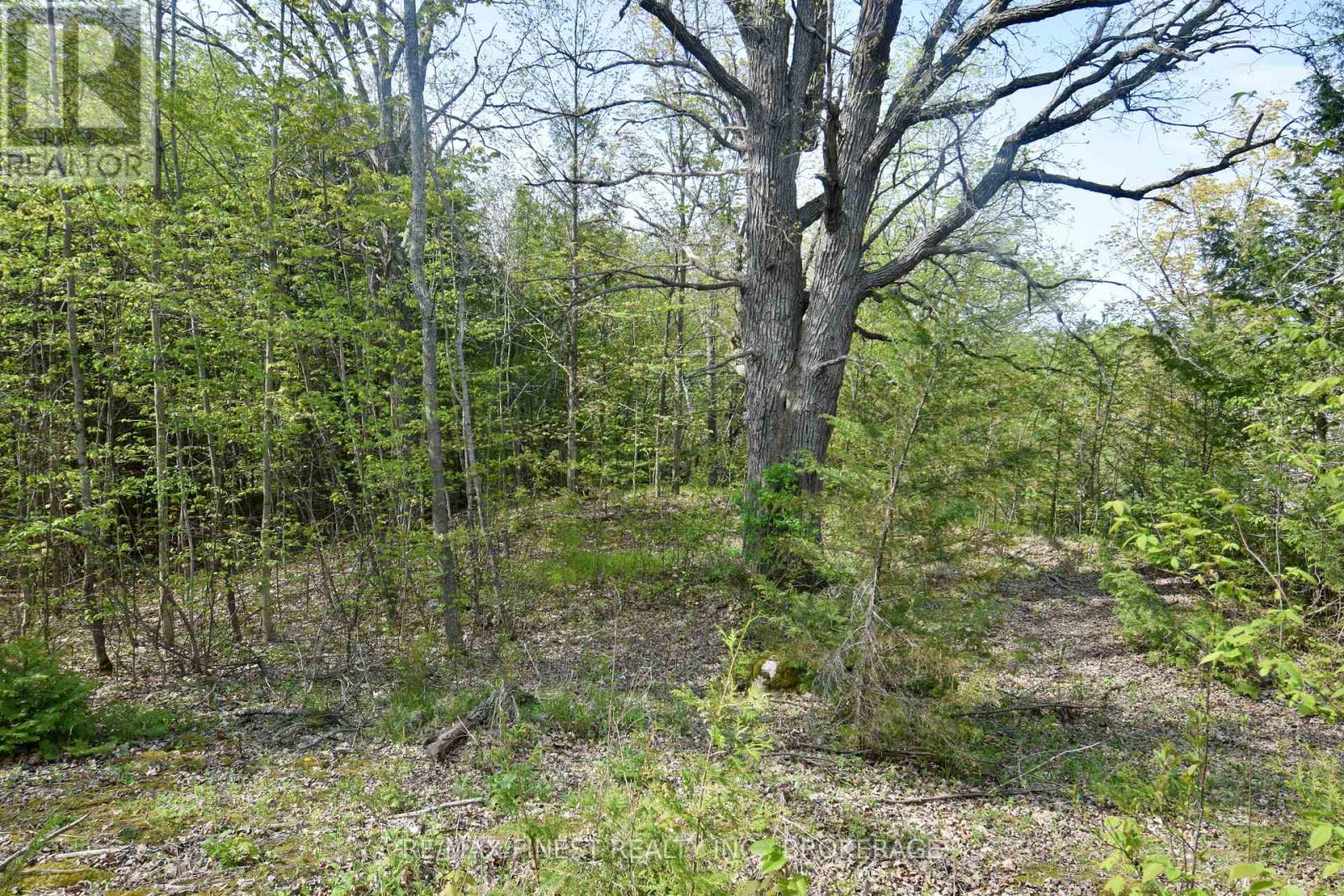 ~20 Ballantra Drive, Stone Mills, Ontario  K0K 3G0 - Photo 5 - X12131048