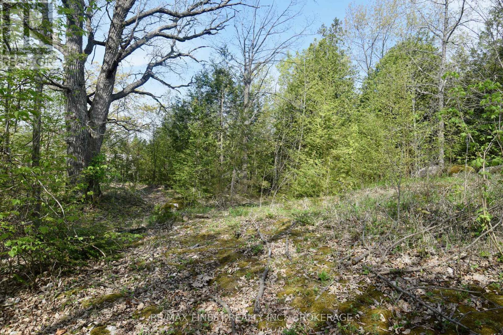 ~20 Ballantra Drive, Stone Mills, Ontario  K0K 3G0 - Photo 6 - X12131048
