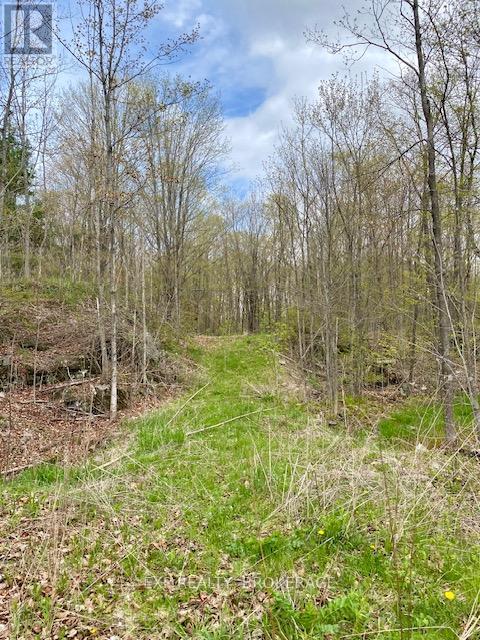 10914 County Road 38 Road, Central Frontenac, Ontario  K0H 2K0 - Photo 11 - X12141790