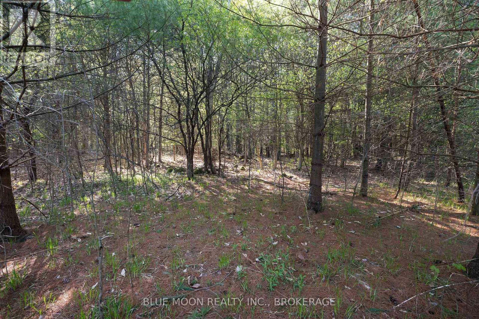 0 Fortune Line Road, Rideau Lakes, Ontario  K0E 1N0 - Photo 23 - X12147630