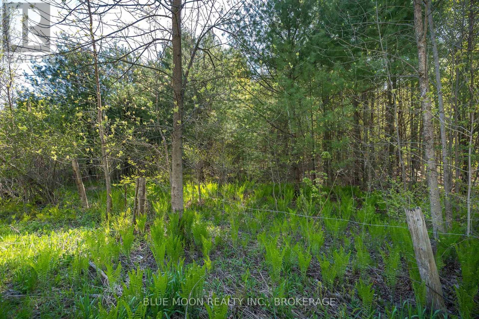 0 Fortune Line Road, Rideau Lakes, Ontario  K0E 1N0 - Photo 26 - X12147630