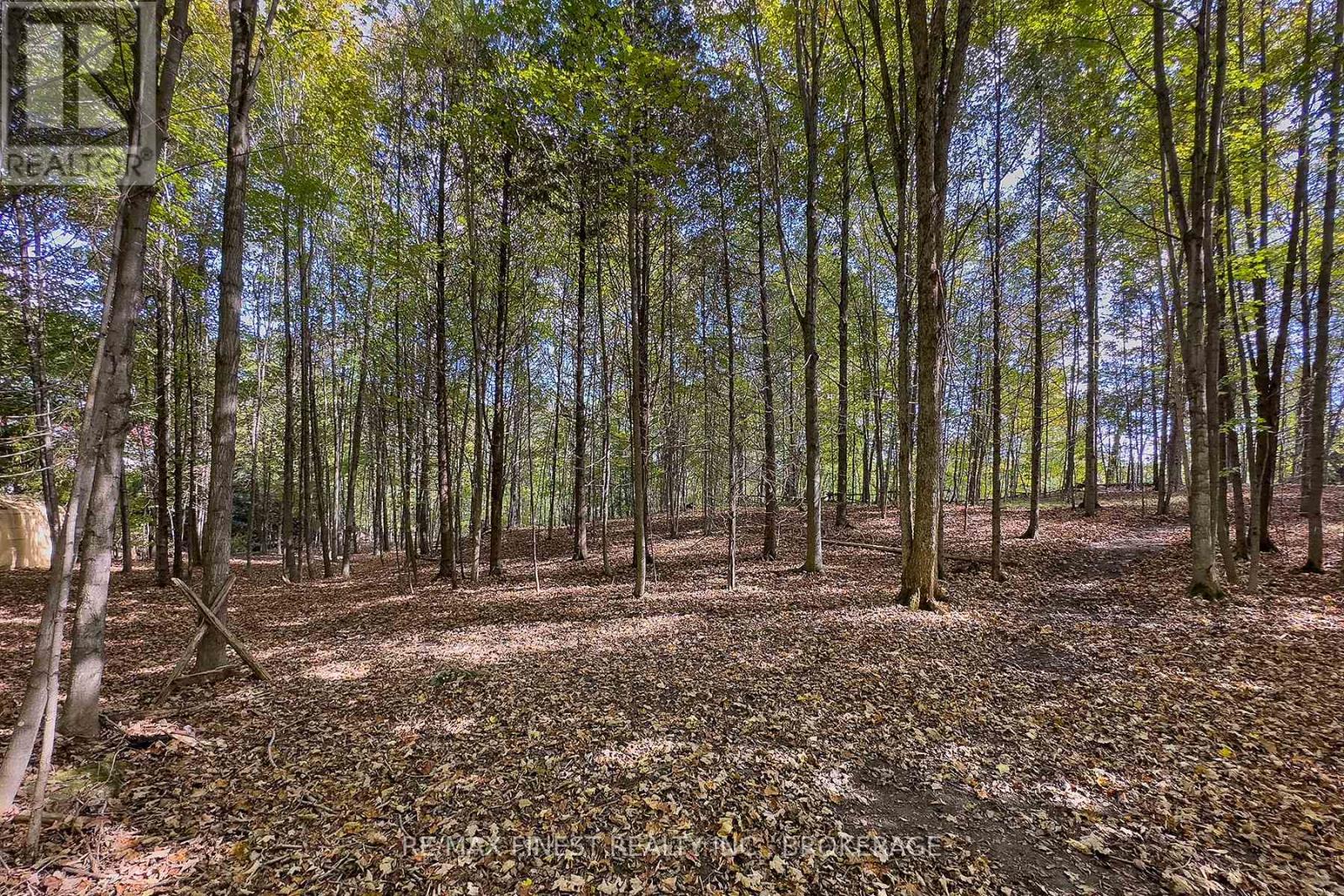 3595 Moore Farm Lane, Frontenac, Ontario  K0H 1W0 - Photo 34 - X12156016