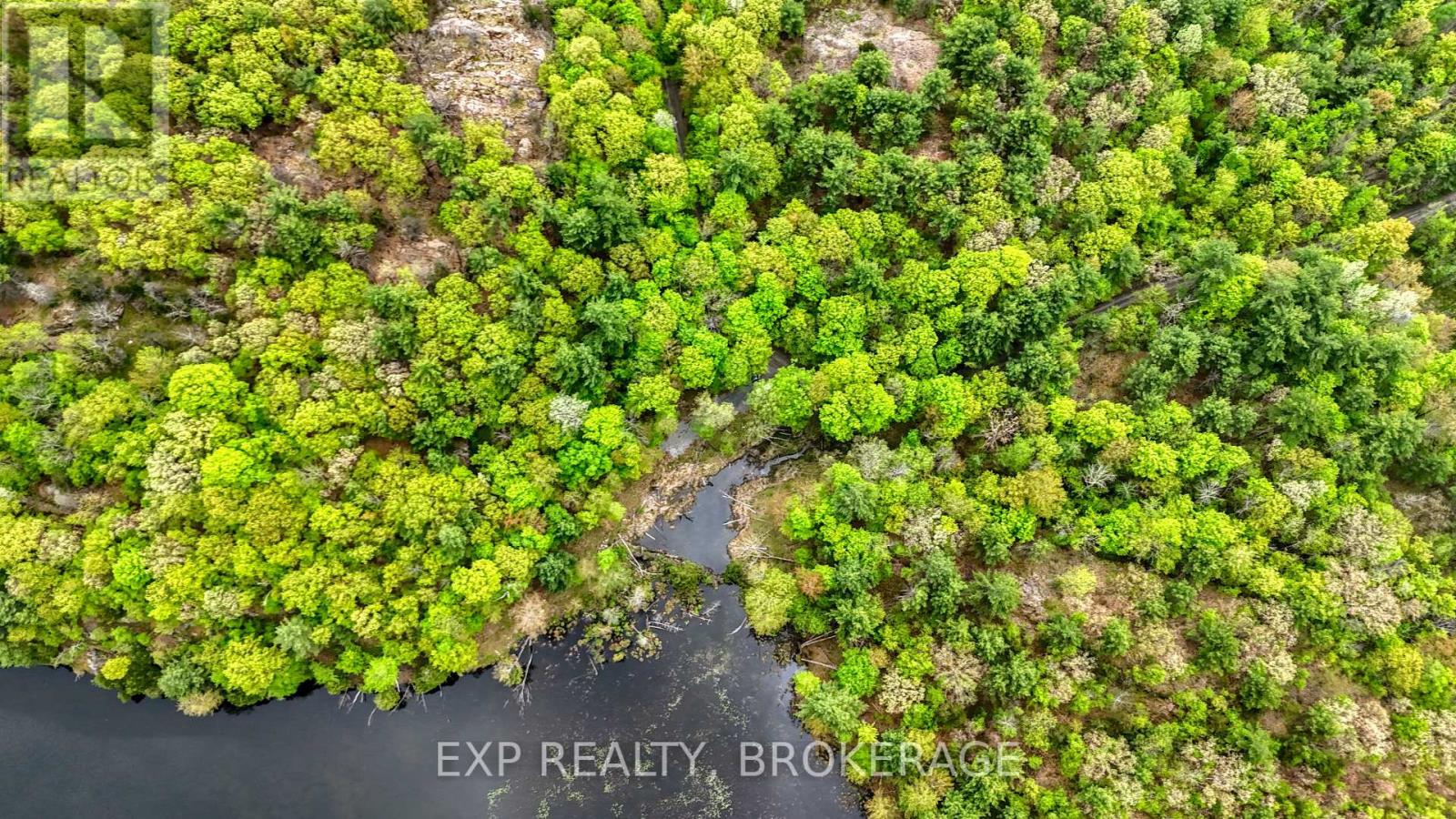 Part Lots 10 And 11 Ritz Road, Rideau Lakes, Ontario  K0G 1E0 - Photo 14 - X12158125