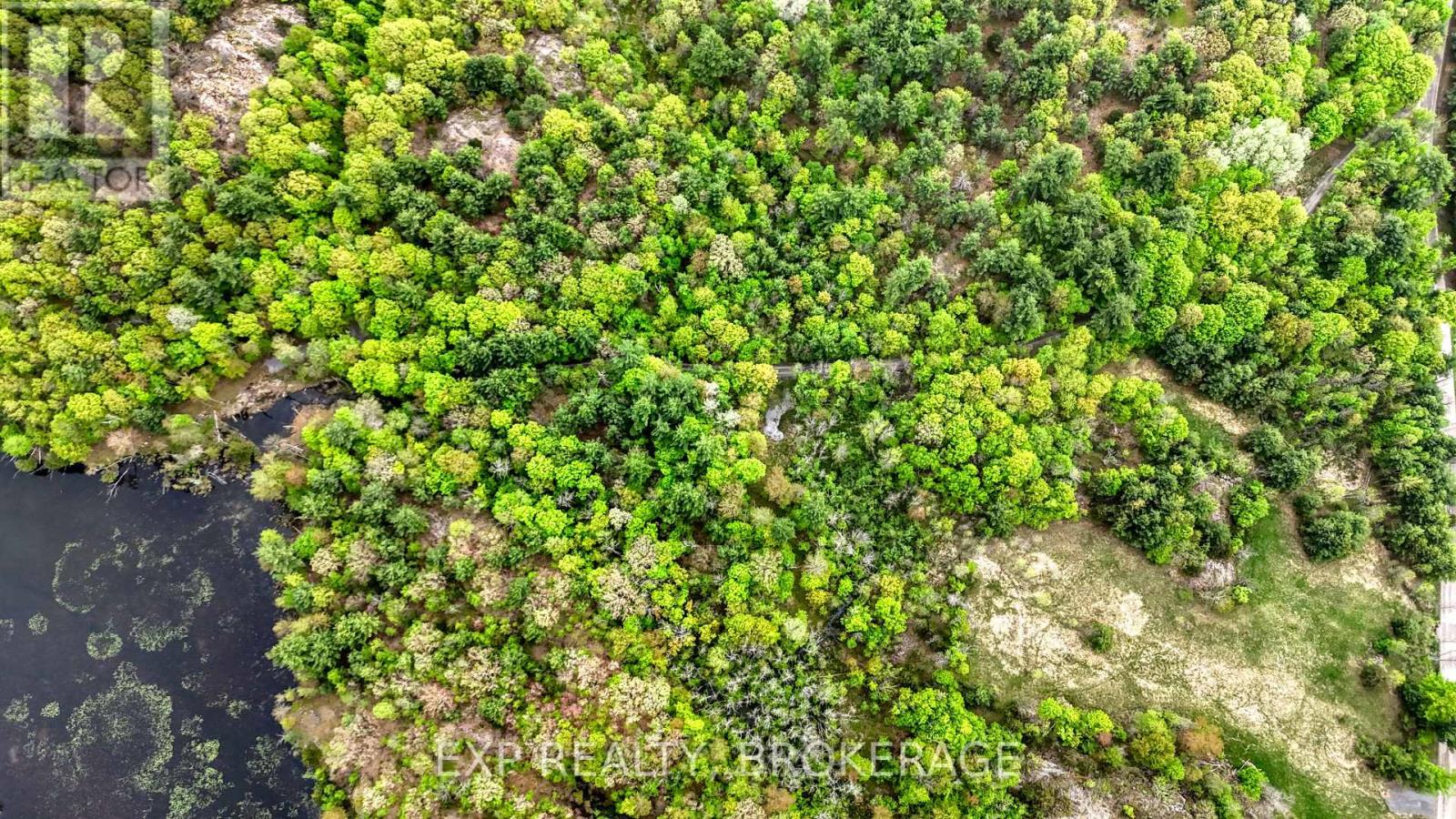 Part Lots 10 And 11 Ritz Road, Rideau Lakes, Ontario  K0G 1E0 - Photo 15 - X12158125