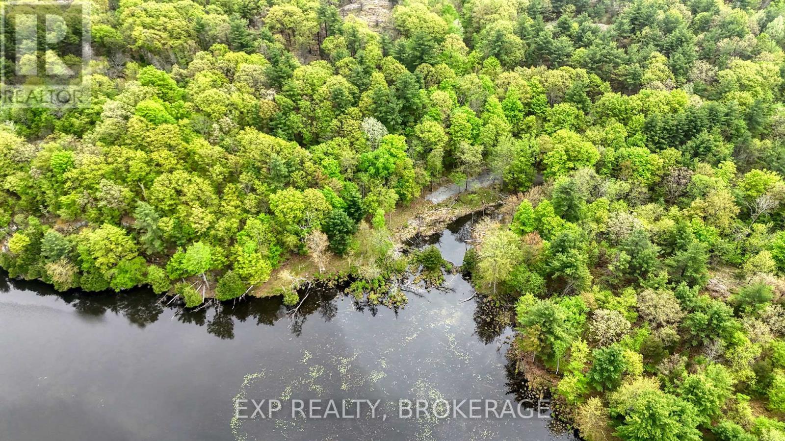 Part Lots 10 And 11 Ritz Road, Rideau Lakes, Ontario  K0G 1E0 - Photo 16 - X12158125