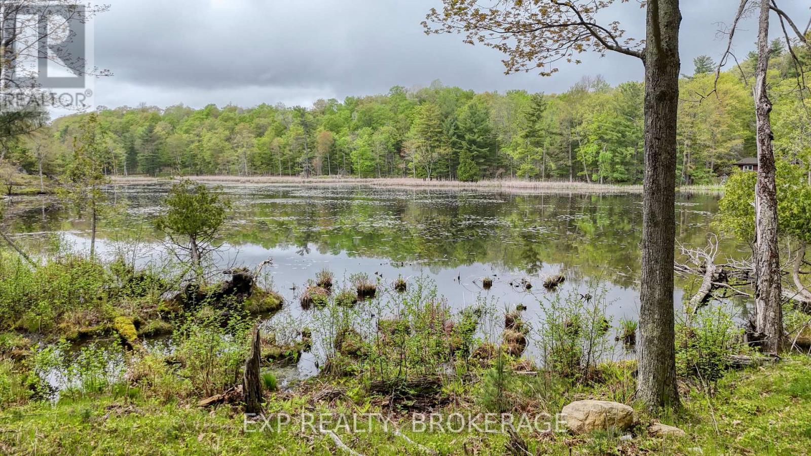 Part Lots 10 And 11 Ritz Road, Rideau Lakes, Ontario  K0G 1E0 - Photo 2 - X12158125