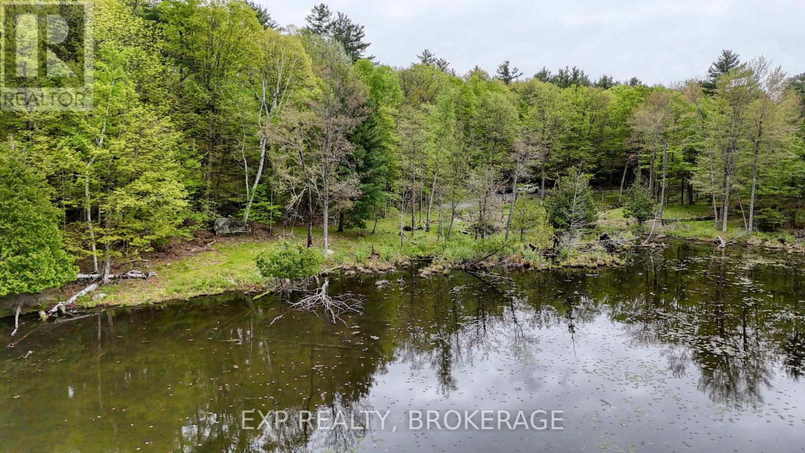 Part Lots 10 And 11 Ritz Road, Rideau Lakes, Ontario  K0G 1E0 - Photo 3 - X12158125