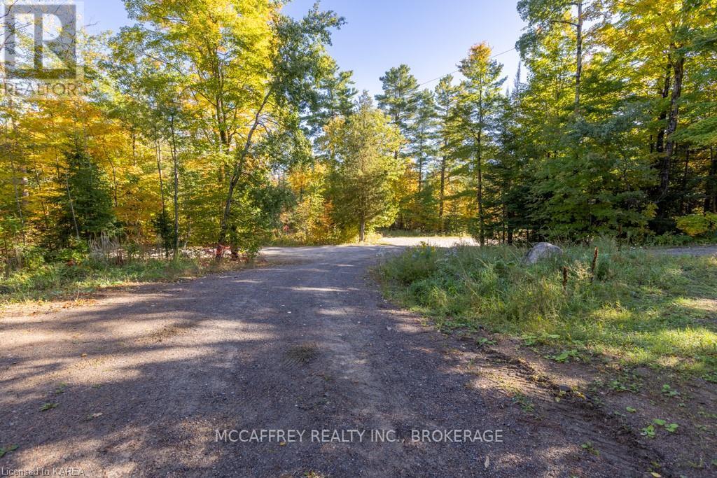 26 Skootamatta Lake Road, Addington Highlands, Ontario  K0H 1K0 - Photo 36 - X12158376