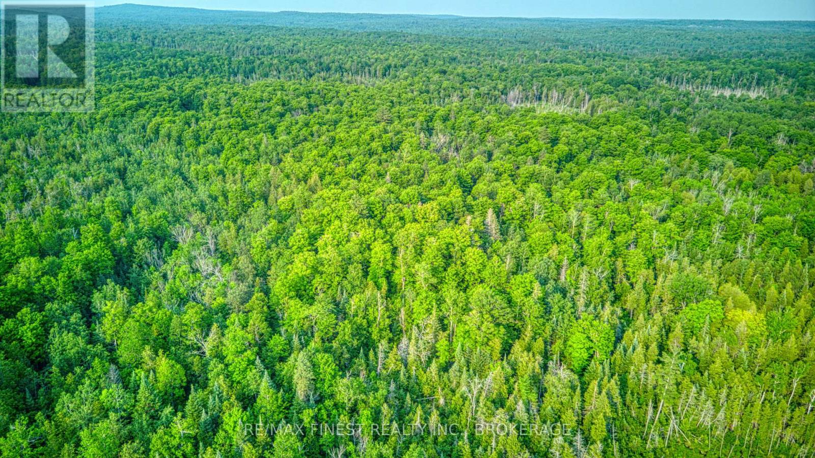 E 1/2 Lot 22 Concession 9 Palmerston, North Frontenac, Ontario  K0H 2J0 - Photo 6 - X12166287