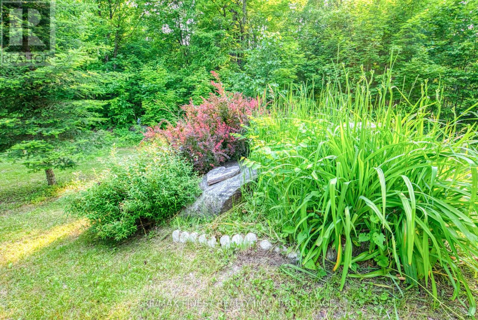 E 1/2 Lot 22 Concession 9 Palmerston, North Frontenac, Ontario  K0H 2J0 - Photo 9 - X12166287