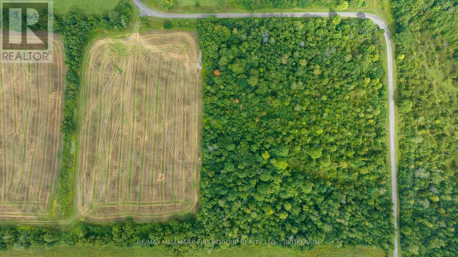 119 Christopher Road, Stone Mills, Ontario  K0K 1Z0 - Photo 25 - X12186420