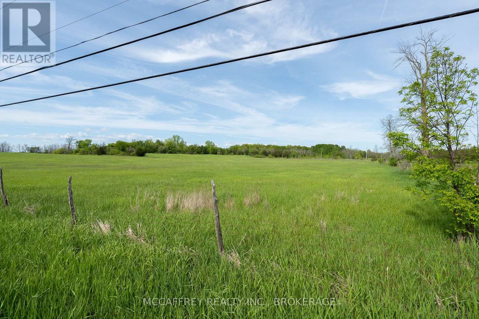 0 Bridge Street W, Greater Napanee, Ontario  K7R 3L1 - Photo 19 - X12198364