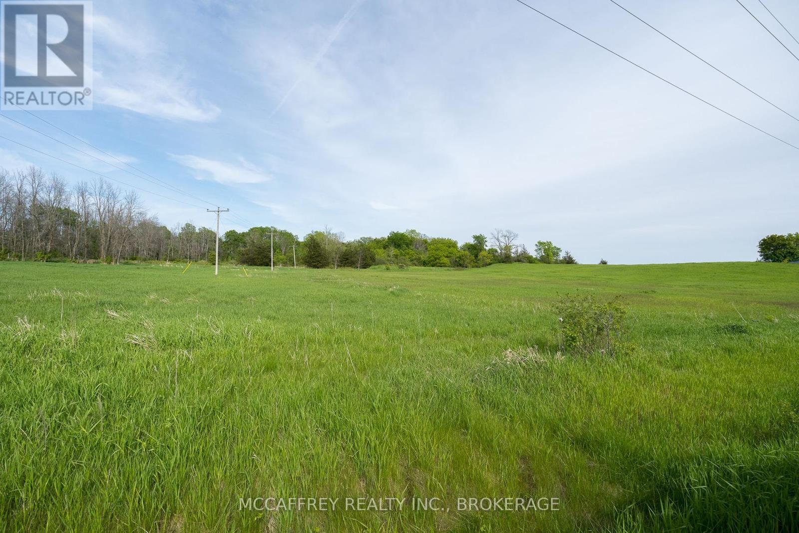 0 Bridge Street W, Greater Napanee, Ontario  K7R 3L1 - Photo 24 - X12198364