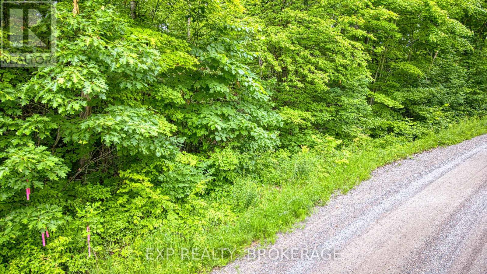 Pt Lt 14-15 Con 7 Echo Lake Road, Frontenac, Ontario  K0H 1T0 - Photo 13 - X12211696