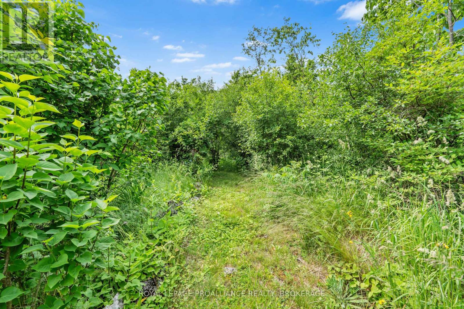 1827 Radage Road, Kingston, Ontario  K7P 2Y7 - Photo 18 - X12218395