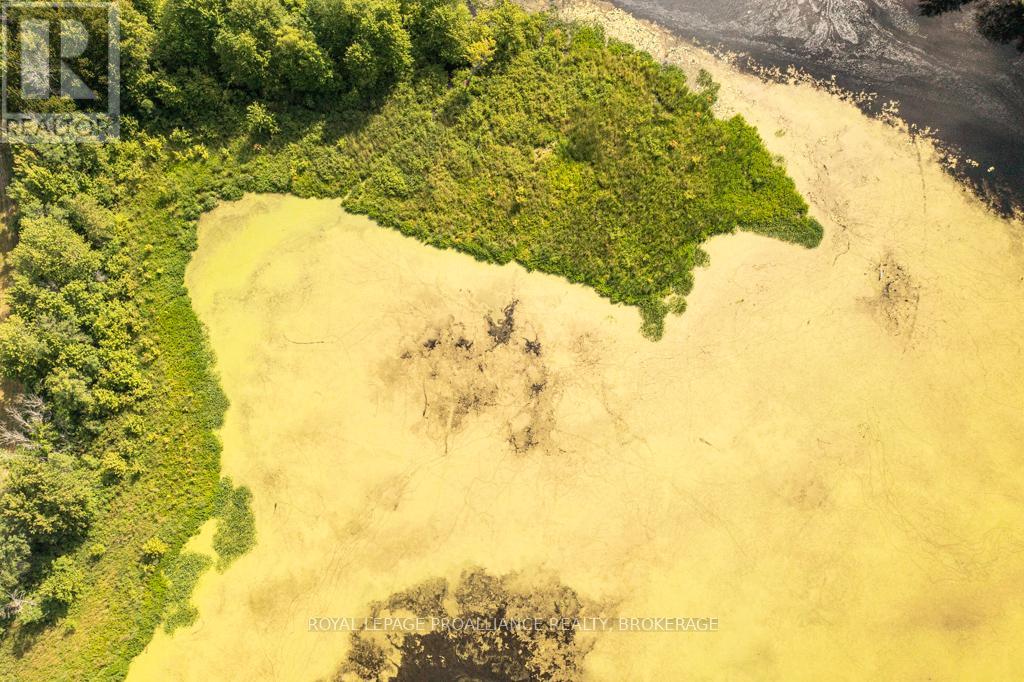 Lot 2 Petworth Road, Stone Mills, Ontario K0K 3N0 - Photo 17 - X12223991