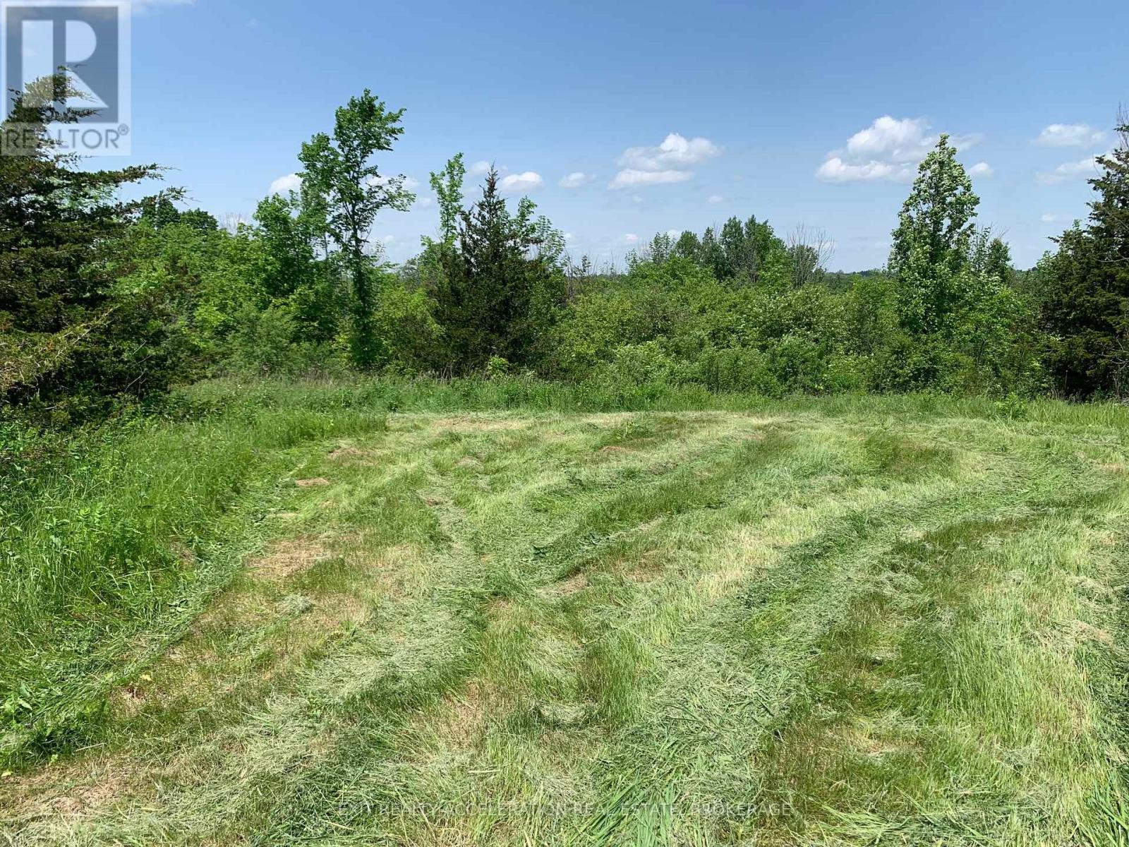 00 Buttermilk Falls Road, Greater Napanee, Ontario  K0K 2W0 - Photo 10 - X12224256