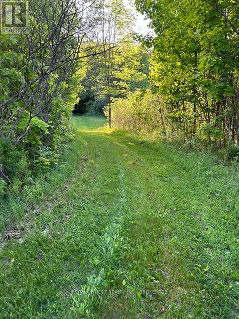 1128 Hill Road, Frontenac, Ontario K0H 1T0 - Photo 31 - X12235902