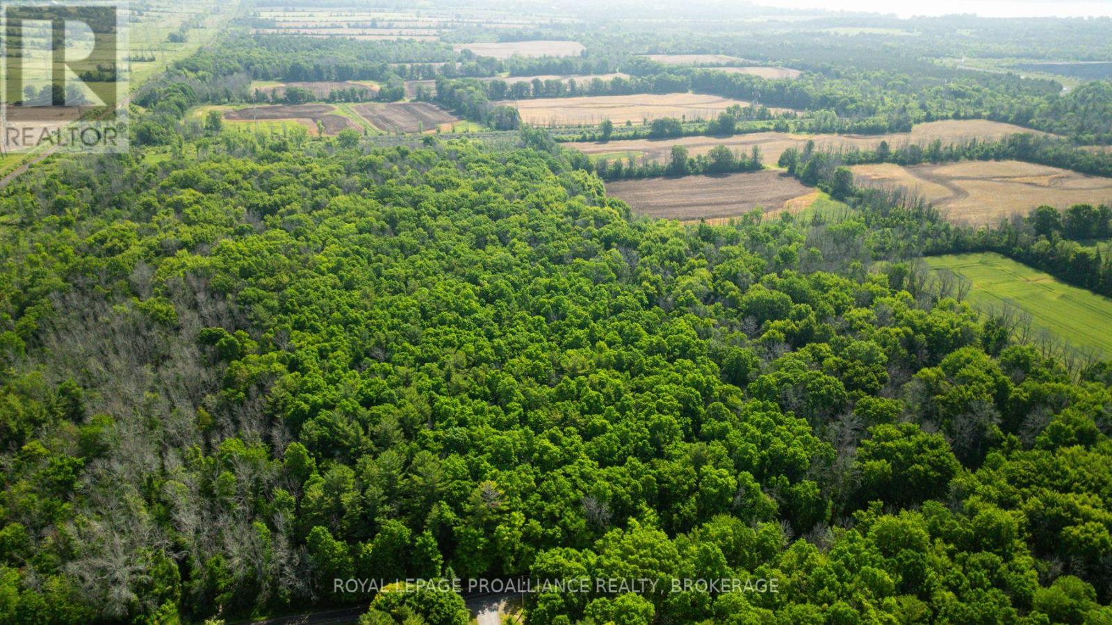 Lot B Townline Road, Loyalist, Ontario  K0H 1G0 - Photo 11 - X12245188
