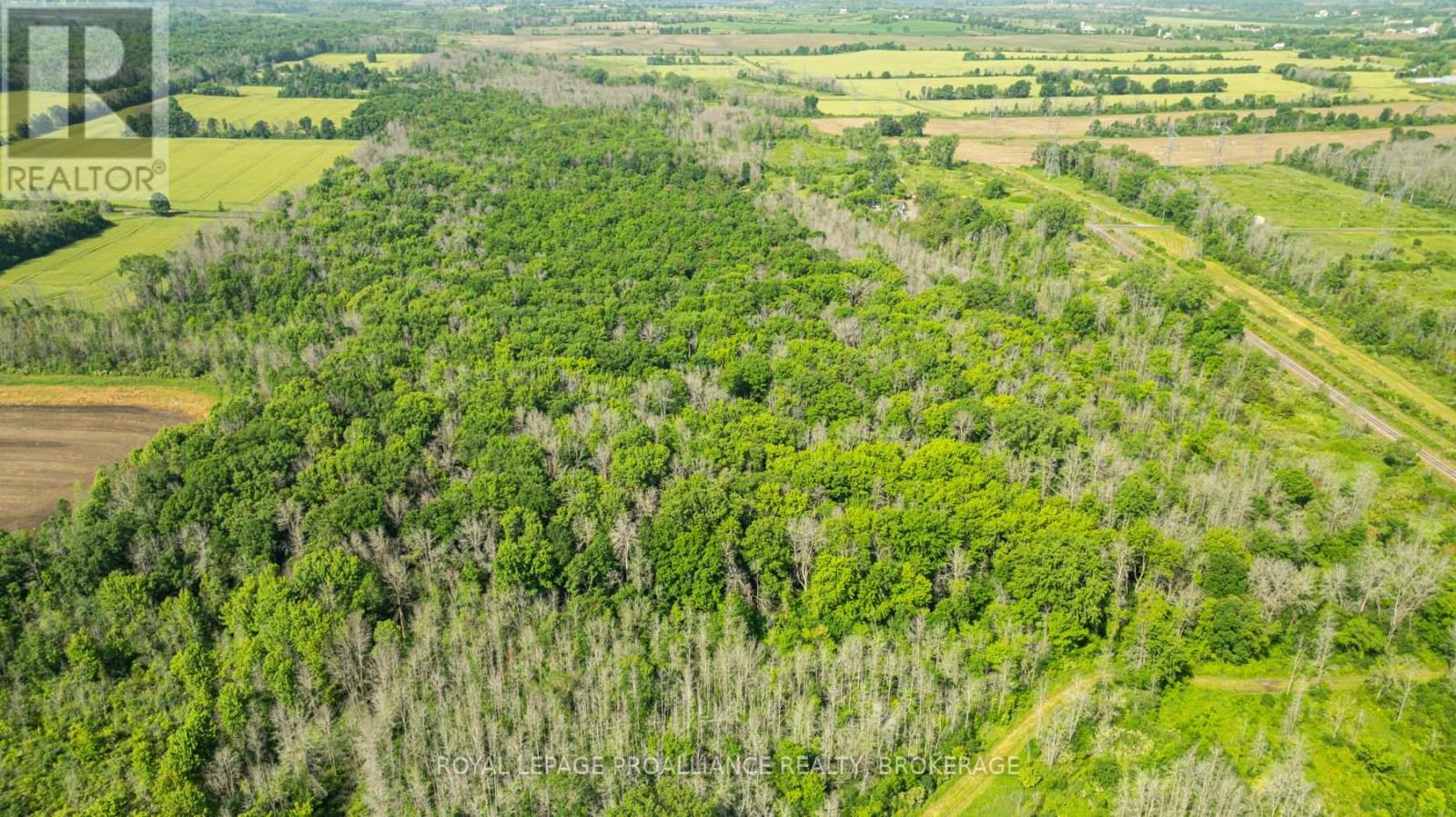 Lot B Townline Road, Loyalist, Ontario  K0H 1G0 - Photo 5 - X12245188