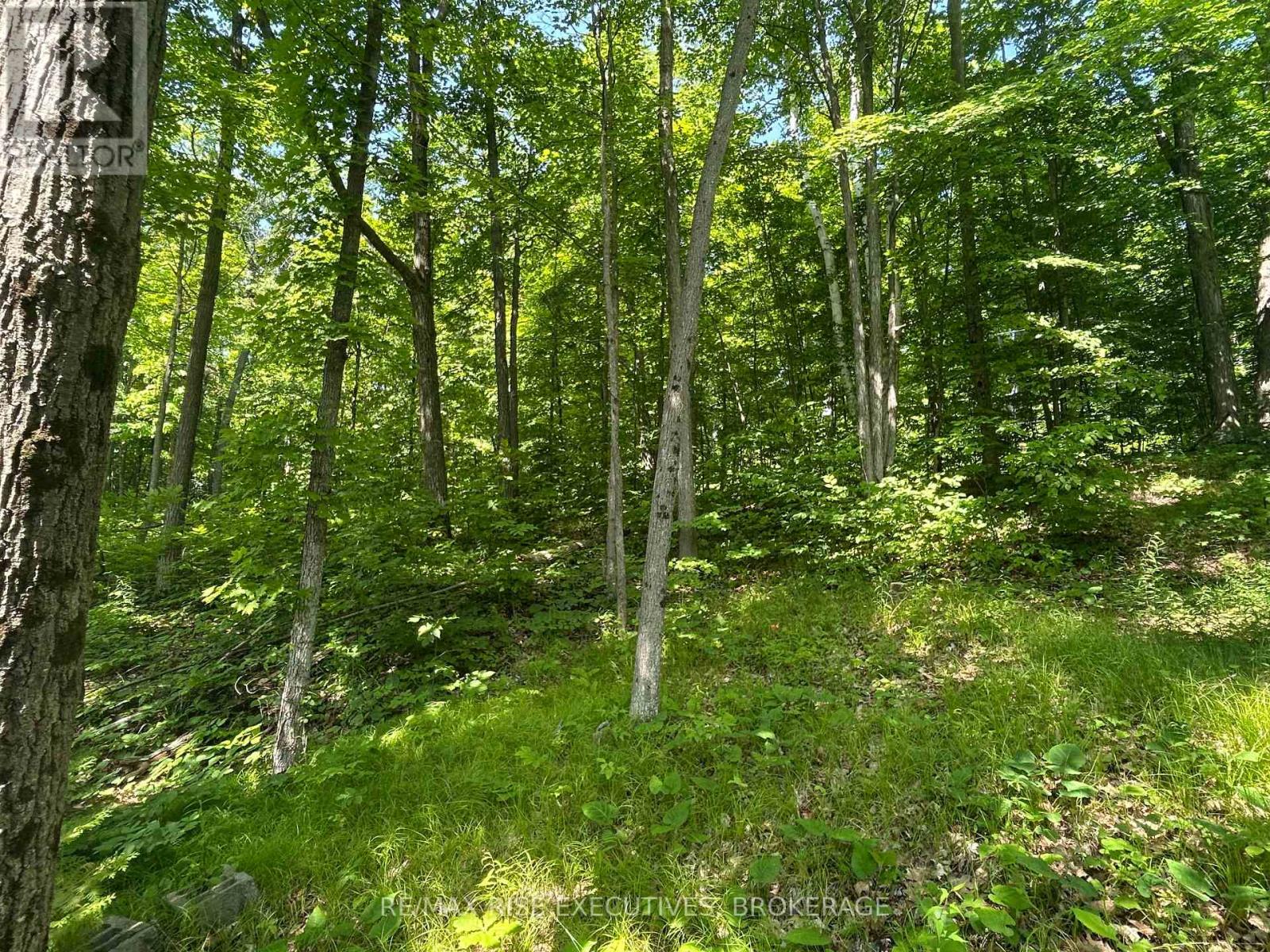 333 Steve Babcock Lane, Frontenac, Ontario  K0H 1W0 - Photo 21 - X12246887