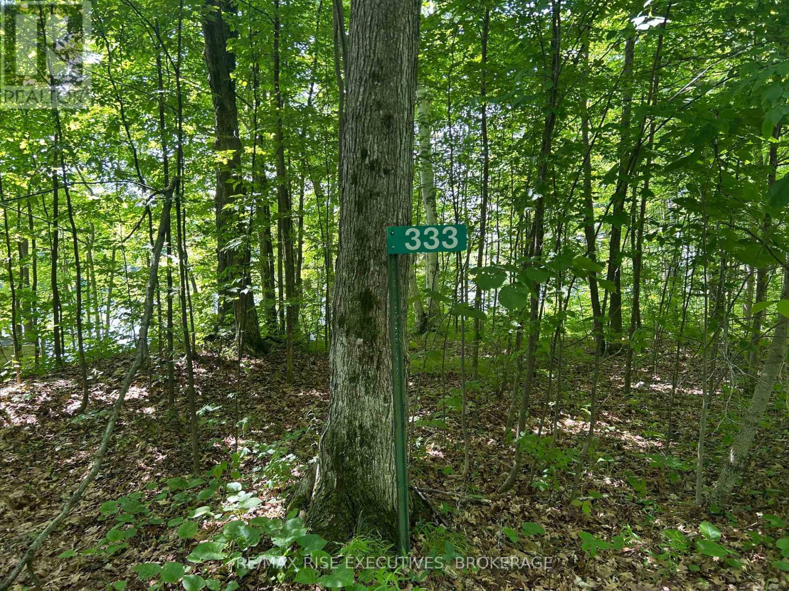 333 Steve Babcock Lane, Frontenac, Ontario  K0H 1W0 - Photo 30 - X12246887